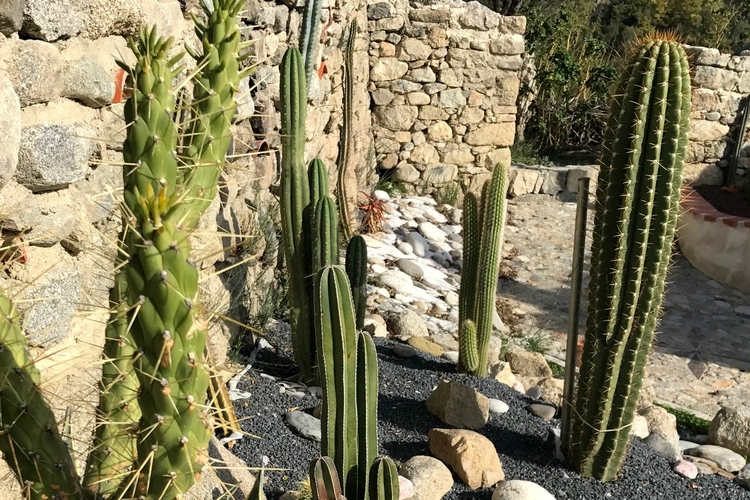Jardin1.jpg Jardin1.jpg